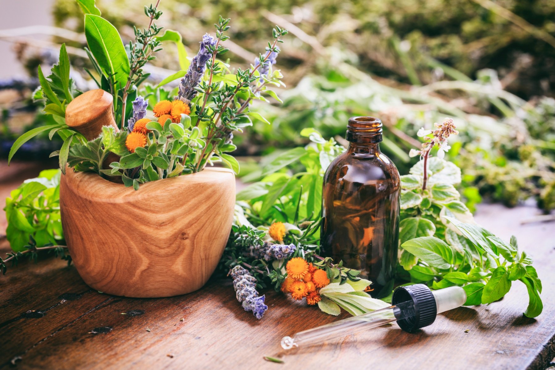 Quels sont les avantages des plantes médicinales ?